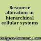 Resource allocation in hierarchical cellular systems /