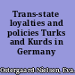 Trans-state loyalties and policies Turks and Kurds in Germany /