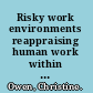 Risky work environments reappraising human work within fallible systems /