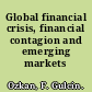 Global financial crisis, financial contagion and emerging markets