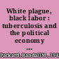 White plague, black labor : tuberculosis and the political economy of health and disease in South Africa /