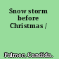 Snow storm before Christmas /