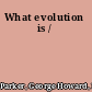 What evolution is /