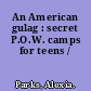 An American gulag : secret P.O.W. camps for teens /