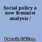 Social policy a new feminist analysis /
