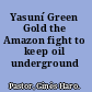 Yasuní Green Gold the Amazon fight to keep oil underground /