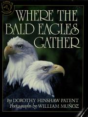 Where the bald eagles gather /