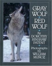 Gray wolf, red wolf /