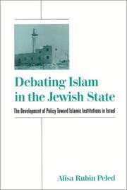 Debating Islam in the Jewish state : the development of policy toward Islamic institutions in Israel /