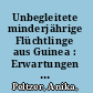 Unbegleitete minderjährige Flüchtlinge aus Guinea : Erwartungen und Bedarfe versus Lebensrealität /