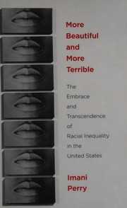 More beautiful and more terrible : the embrace and transcendence of racial inequality in the United States /