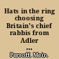 Hats in the ring choosing Britain's chief rabbis from Adler to Sacks /