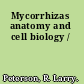 Mycorrhizas anatomy and cell biology /