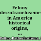 Felony disenfranchisement in America historical origins, institutional racism, and modern consequences /