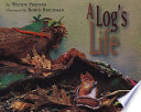 A log's life /