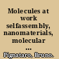 Molecules at work selfassembly, nanomaterials, molecular machinery /