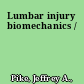 Lumbar injury biomechanics /