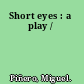 Short eyes : a play /