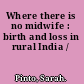 Where there is no midwife : birth and loss in rural India /