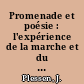 Promenade et poésie : l'expérience de la marche et du mouvement dans l'oeuvre de Rimbaud ...