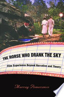 The horse who drank the sky : film experience beyond narrative and theory /