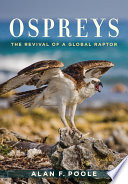 Ospreys : the revival of a global raptor /