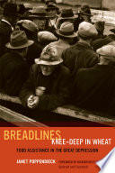 Breadlines knee deep in wheat : food assistance in the great depression /