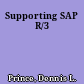 Supporting SAP R/3