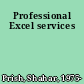 Professional Excel services