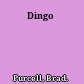 Dingo