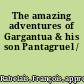 The amazing adventures of Gargantua & his son Pantagruel /