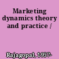 Marketing dynamics theory and practice /