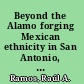 Beyond the Alamo forging Mexican ethnicity in San Antonio, 1821-1861 /