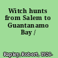 Witch hunts from Salem to Guantanamo Bay /