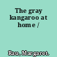 The gray kangaroo at home /