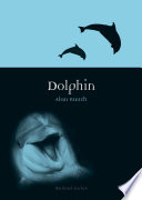 Dolphin /