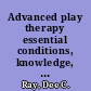 Advanced play therapy essential conditions, knowledge, and skills for child practice /