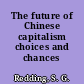 The future of Chinese capitalism choices and chances /