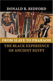 From slave to pharaoh : the black experience of ancient Egypt /