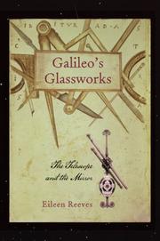 Galileo's glassworks : the telescope and the mirror /