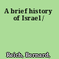 A brief history of Israel /