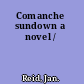 Comanche sundown a novel /