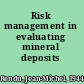 Risk management in evaluating mineral deposits /
