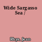 Wide Sargasso Sea /