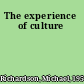 The experience of culture