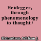Heidegger, through phenomenology to thought /