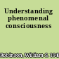 Understanding phenomenal consciousness