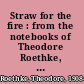 Straw for the fire : from the notebooks of Theodore Roethke, 1943-63 /