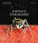 Portraits D'araignées /