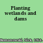 Planting wetlands and dams